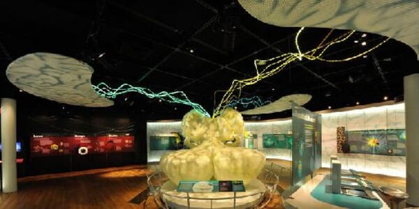 "Brain: The Inside Story, " opening June 6 at Fernbank Museum of Natural History, will explore how the brain has evolved, how it works and how it makes us human. CONTRIBUTED BY R. MICKENS / AMERICAN MUSEUM OF NATURAL HISTORY