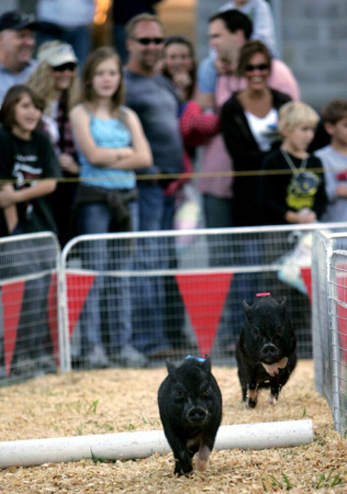 Cumming Country Fair & Festival