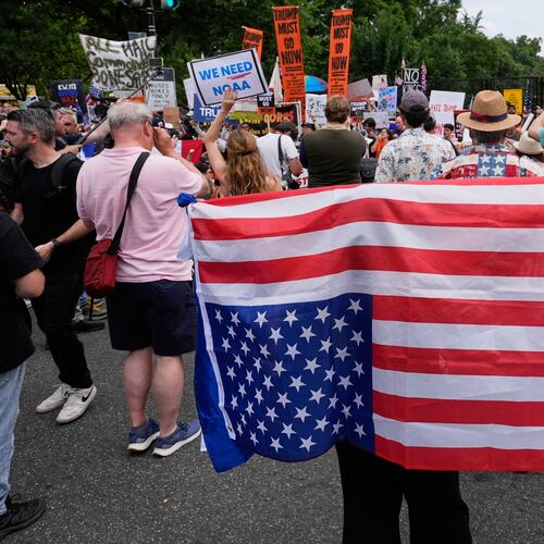 FILE - A demonstrator carries an American flag upside-down near the White House during a protest taking place on the day of a military parade commemorating the Army's 250th anniversary, coinciding with President Donald Trump's 79th birthday, June 14, 2025, in Washington. (AP Photo/Alex Brandon, File)