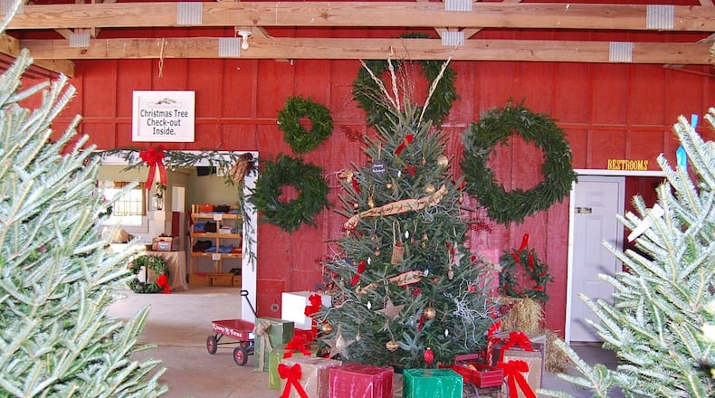 Yule Forest in Stockbridge features outdoor exhibits, a tree display and a petting zoo when getting your holiday family tree.