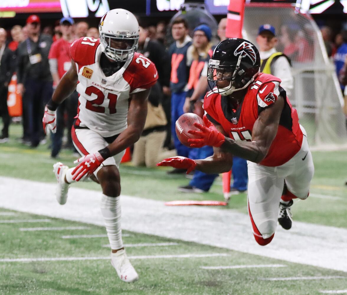 falcons