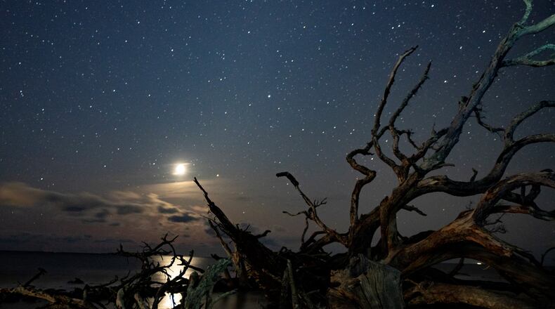"I took this picture as the crescent moon was rising on Driftwood Beach, Jekyll Island; this is from Nov 2019," wrote Greg Callihan.