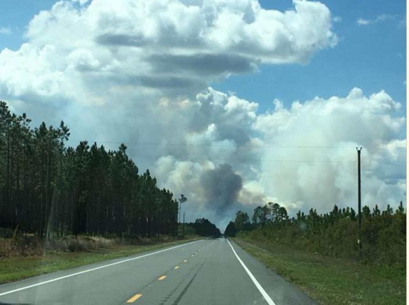 wildfire okefenokee