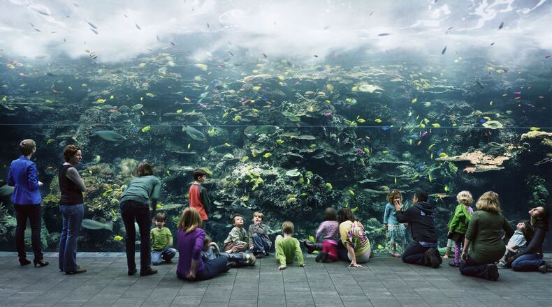 German photographer Thomas Struth’s “Aquarium, Atlanta, Georgia” is featured in a solo show at the High Museum of Art, “Thomas Struth: Nature & Politics.” CONTRIBUTED BY THOMAS STRUTH