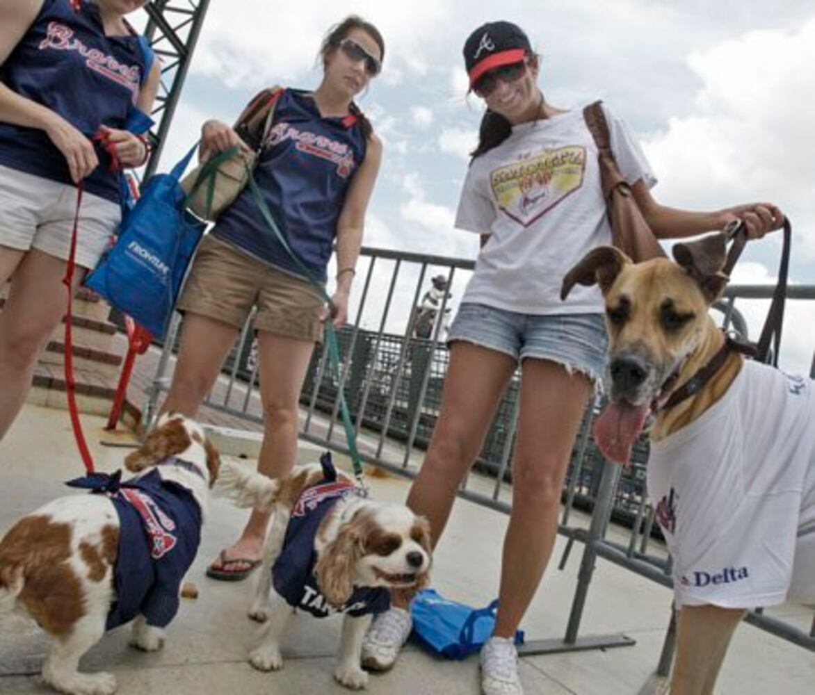 Dog days already? Bark in the Park at Turner Field