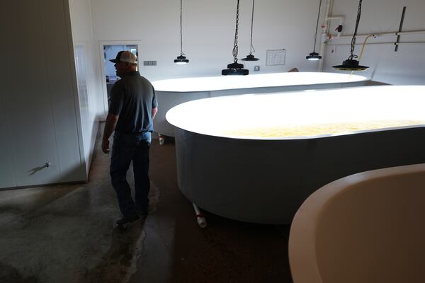 Reed Bowers, owner of Homegrown seafood, walks through his shrimp hatchery, Wednesday, April 9, 2025, in Palacios, Texas. (AP Photo/Eric Gay)