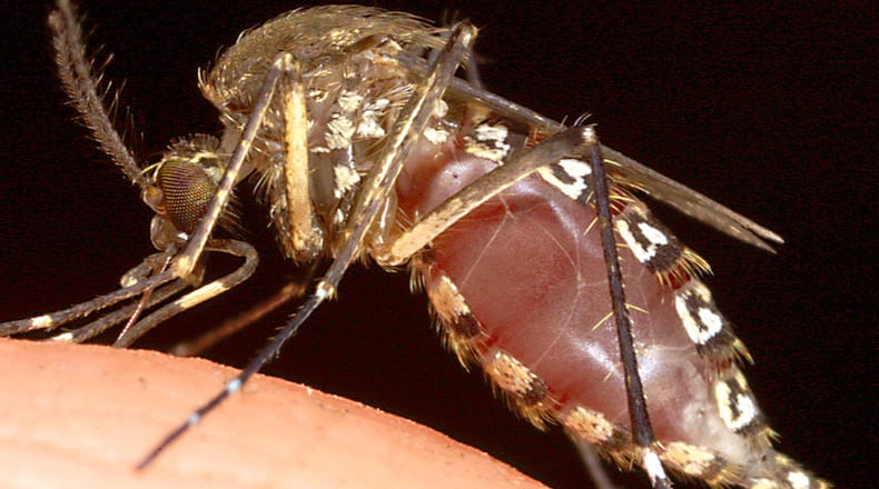 An ESPN reporter choked on a bug while delivering a report on live television before Game 2 of the Western Conference semi-finals between the Houston Rockets and the San Antonio Spurs.