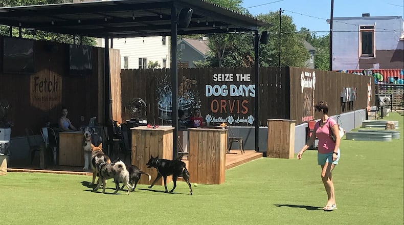 During happy hours, and on weekends, Fetch can become a dog zoo, although bark rangers are there to keep things in order. Cleanliness and safety are priorities. Dogs must be at least 4 months old. They must be free of fleas and ticks, friendly to people and other dogs, and be current on all vaccinations, including rabies, DHLPP and Bordetella. To enter the park, owners must provide documentation, which is then kept on file at Fetch. LIGAYA FIGUERAS / LFIGUERAS@AJC.COM