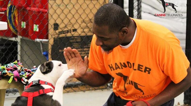 Canine CellMates helps rehabilitate incarcerated men by using shelter dogs.