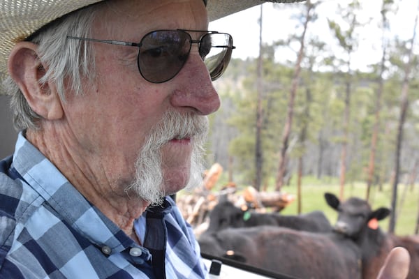 Pat Thiele is seen in his truck as he checks on his cattle in the Bull Mountains, on May 21, 2025, near Roundup, Montana. (AP Photo/Matthew Brown)