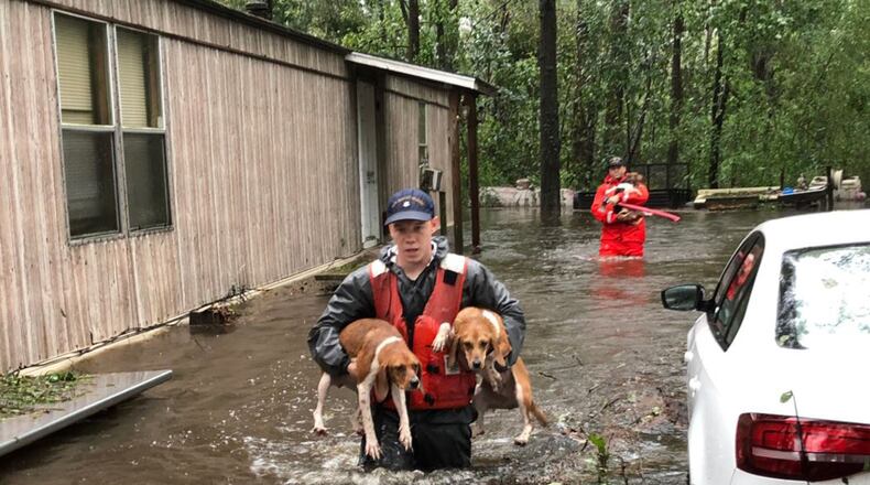 United States Coast Guard members of Shallow-Water Response Team 3 rescued beagles and their owners stranded by floodwater from Hurricane Florence. (Photo by USCG 5th District Mid Atlantic)