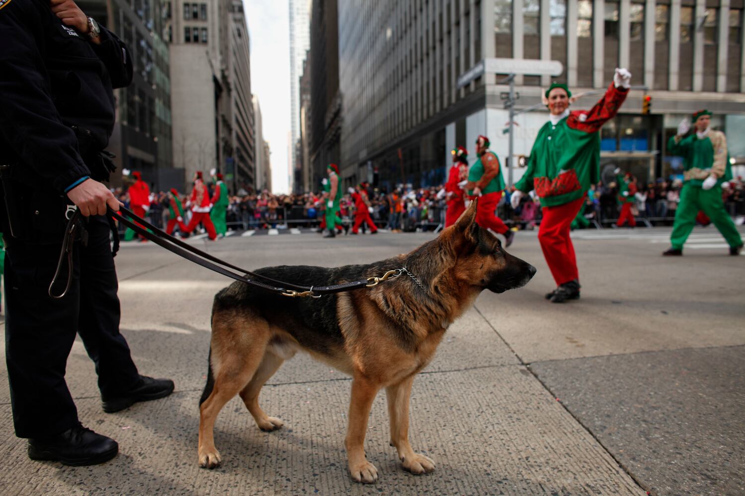 Macy's Thanksgiving Day Parade