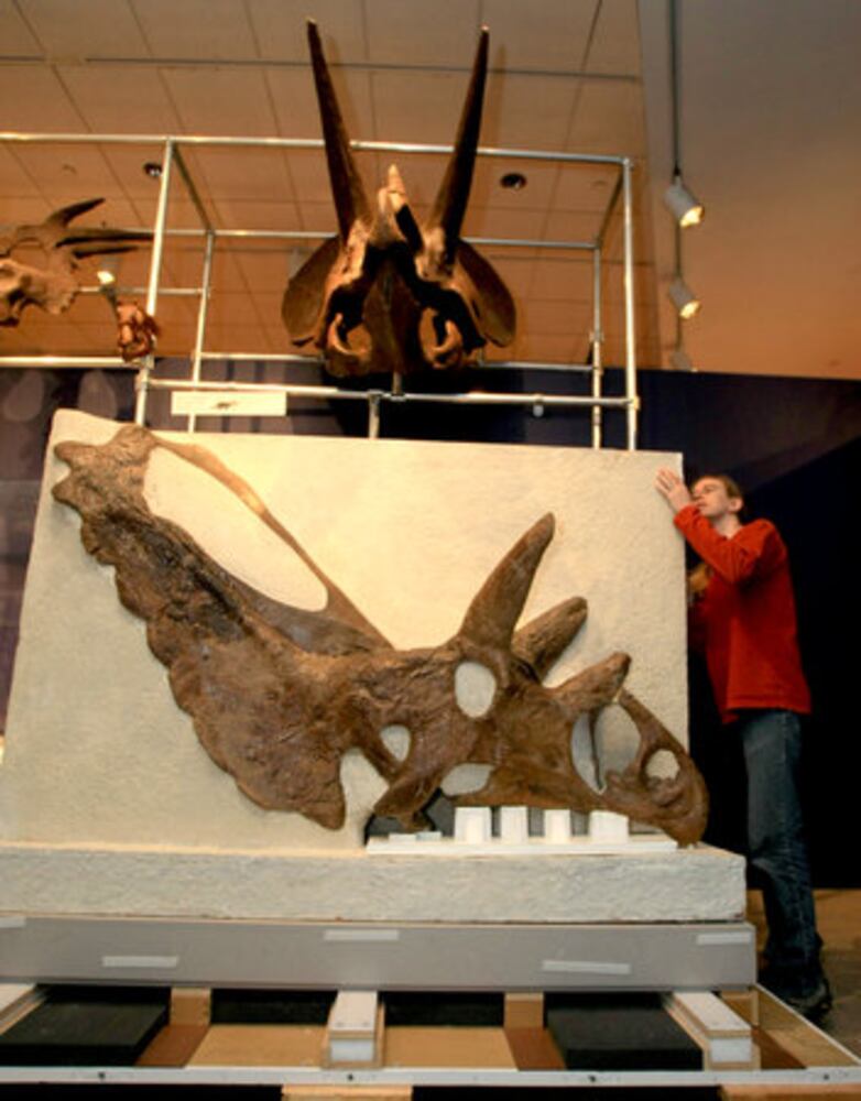 Dinosaur exhibit at Fernbank