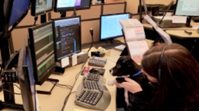 The new “Headset Heelers” program in Fayette County will give dogs from the animal shelter better socialization while offering stress relief for the 911 operators. Courtesy Fayette County