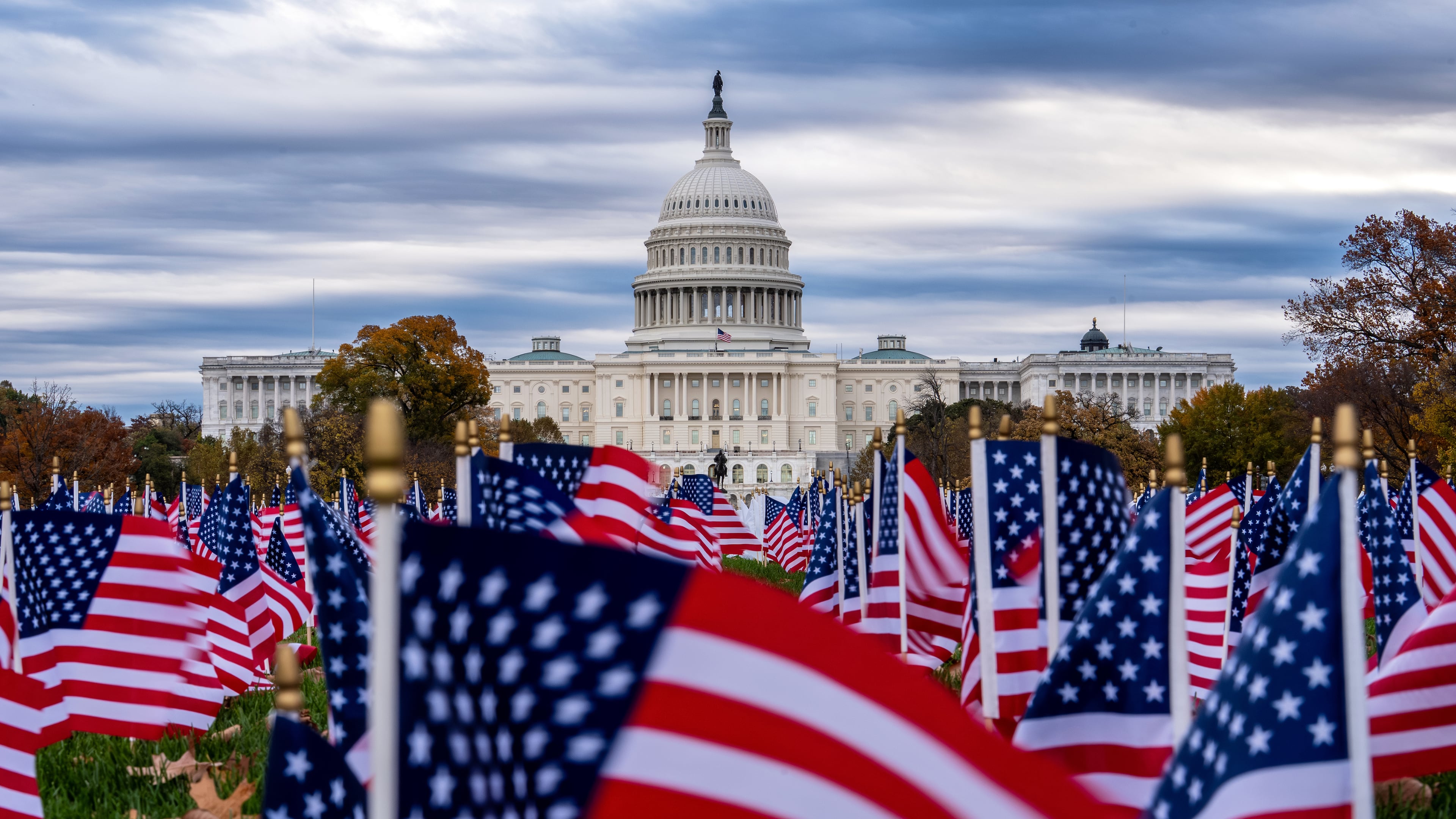 Miniature American flags flutter in wind gusts across the National Mall near the Capitol in Washington, Monday, Nov. 10, 2025. (AP Photo/J. Scott Applewhite)