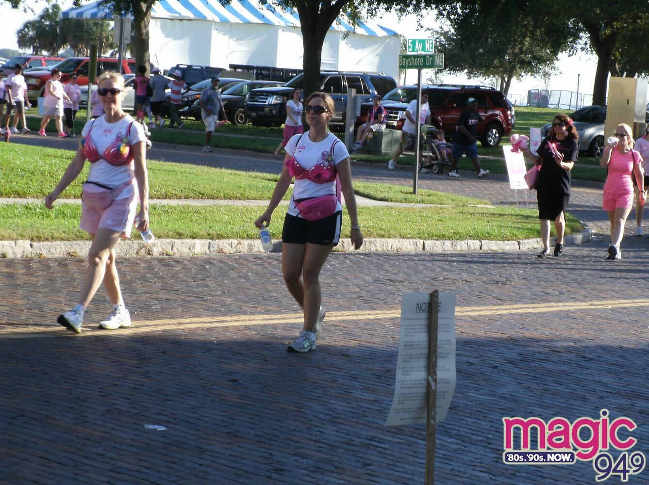 Making Strides Breast Cancer Walk at Vinoy Park