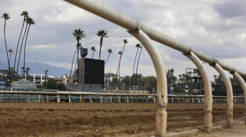 A horse died at Santa Anita Race Track on Sunday, bringing the death toll to 23 since Dec. 26.
