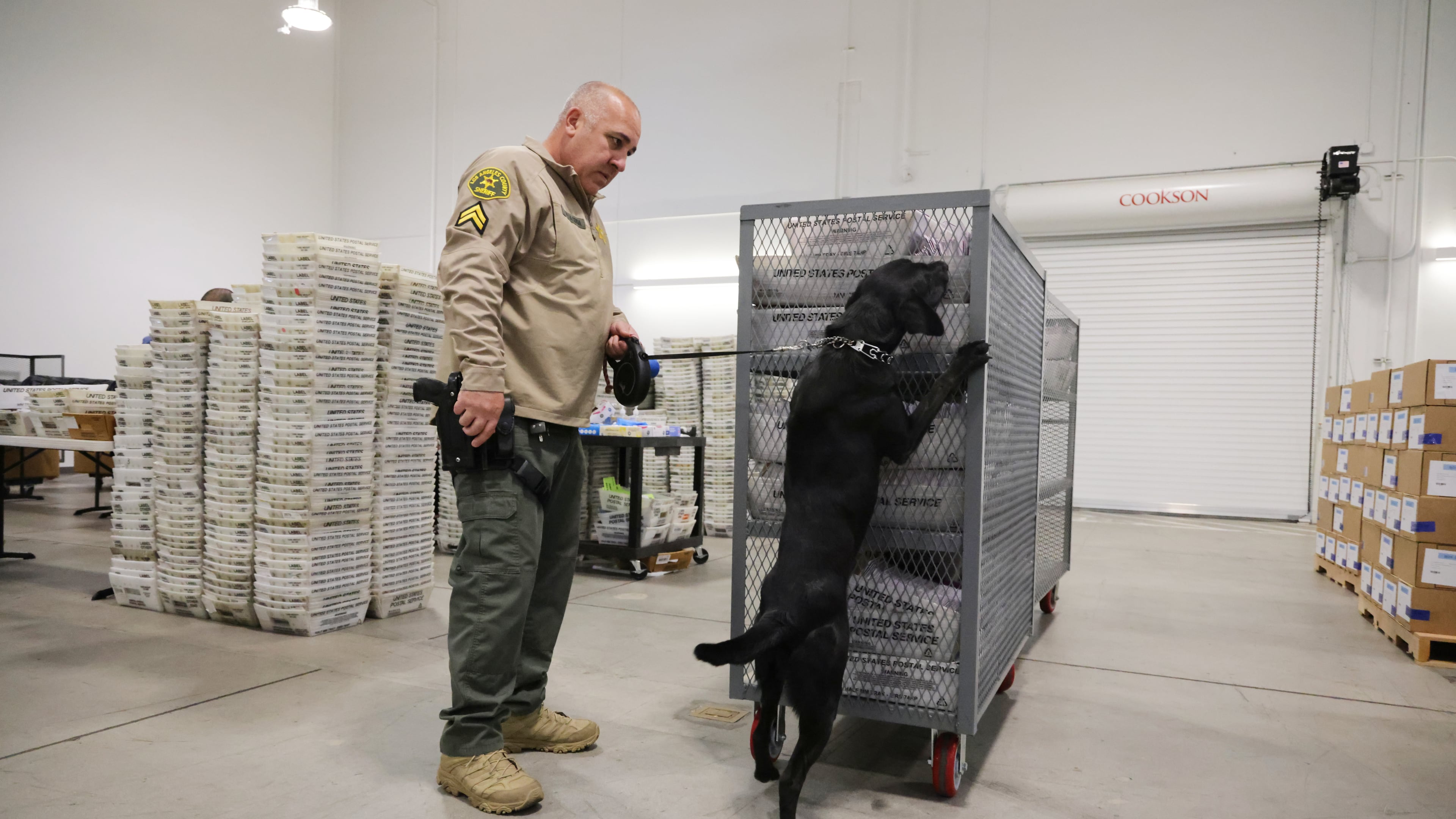 FILE - A sheriff's deputy inspects ballots with the aid of a dog at the L.A. County Ballot Processing Center Nov. 4, 2025, in City of Industry, Calif. (AP Photo/Ethan Swope, File)
