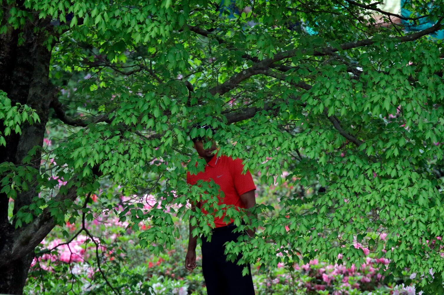 Augusta National, April 14, 2013