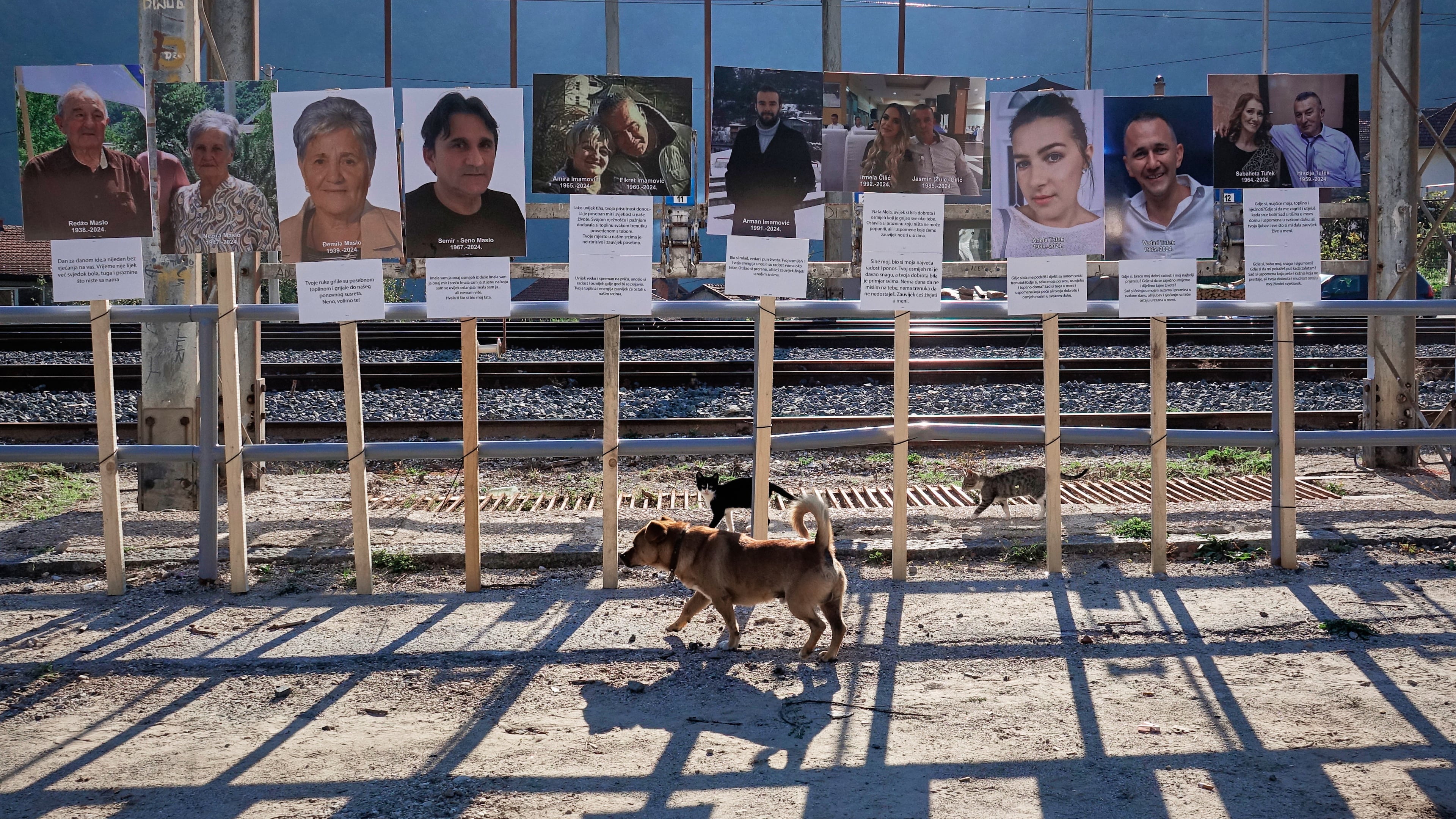 A dog and two kittens walk by photographs of victims, a year after floods and a landslide swept through the tiny village of Donja Jablanica in southern Bosnia, killing 19 people, Saturday, Oct. 4, 2025. (AP Photo/Eldar Emric)
