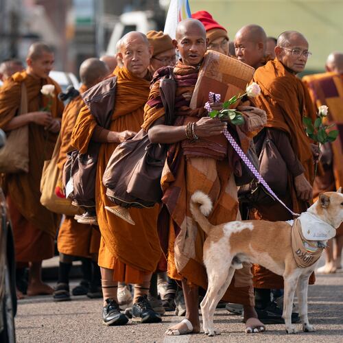 Buddhist monks who are participating in the, "Walk For Peace," are seen with their dog, Aloka, Thursday, Jan. 8, 2026, in Saluda, S.C. (AP Photo/Allison Joyce)