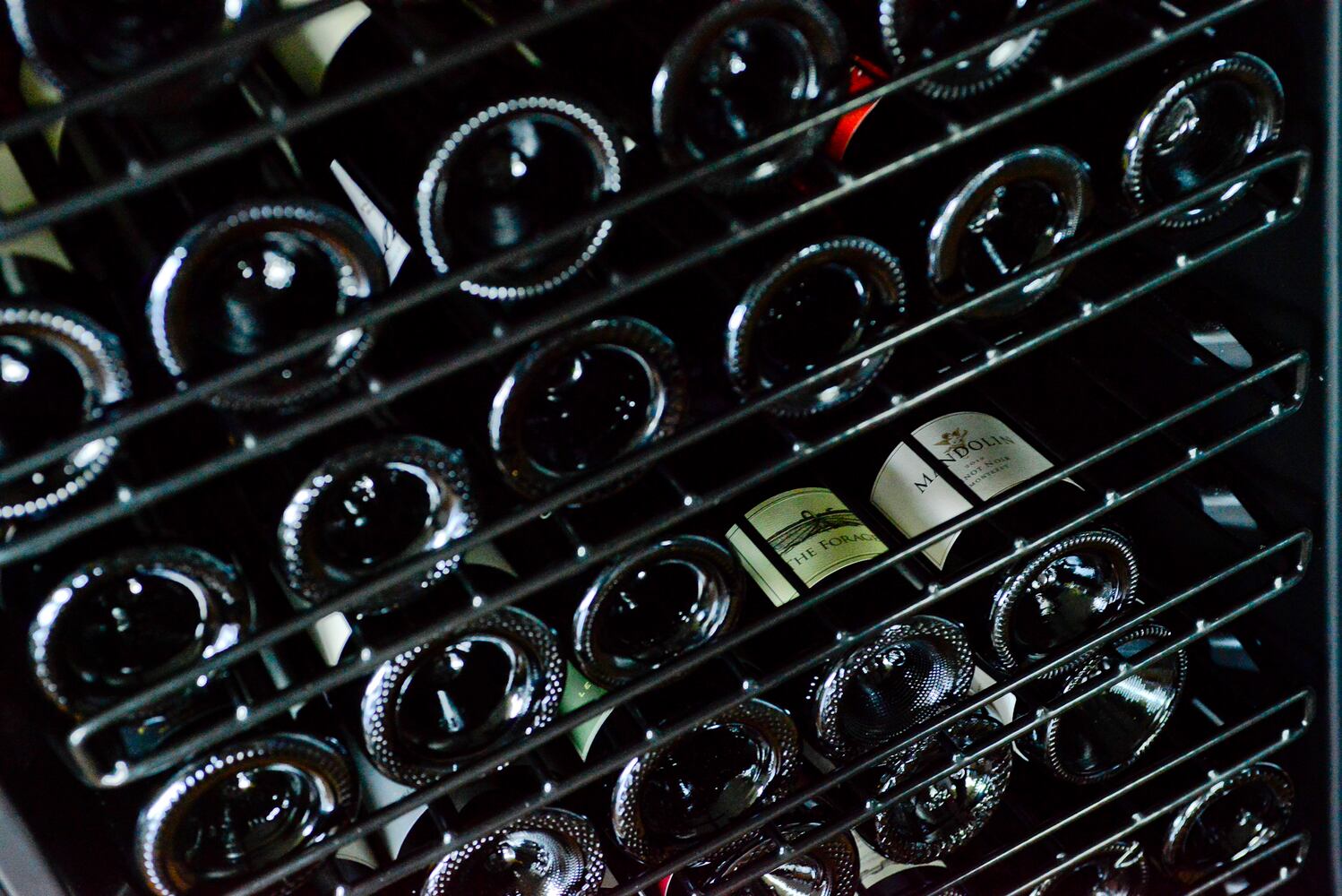 Eurocave wine cellar holds more than 100 bottles