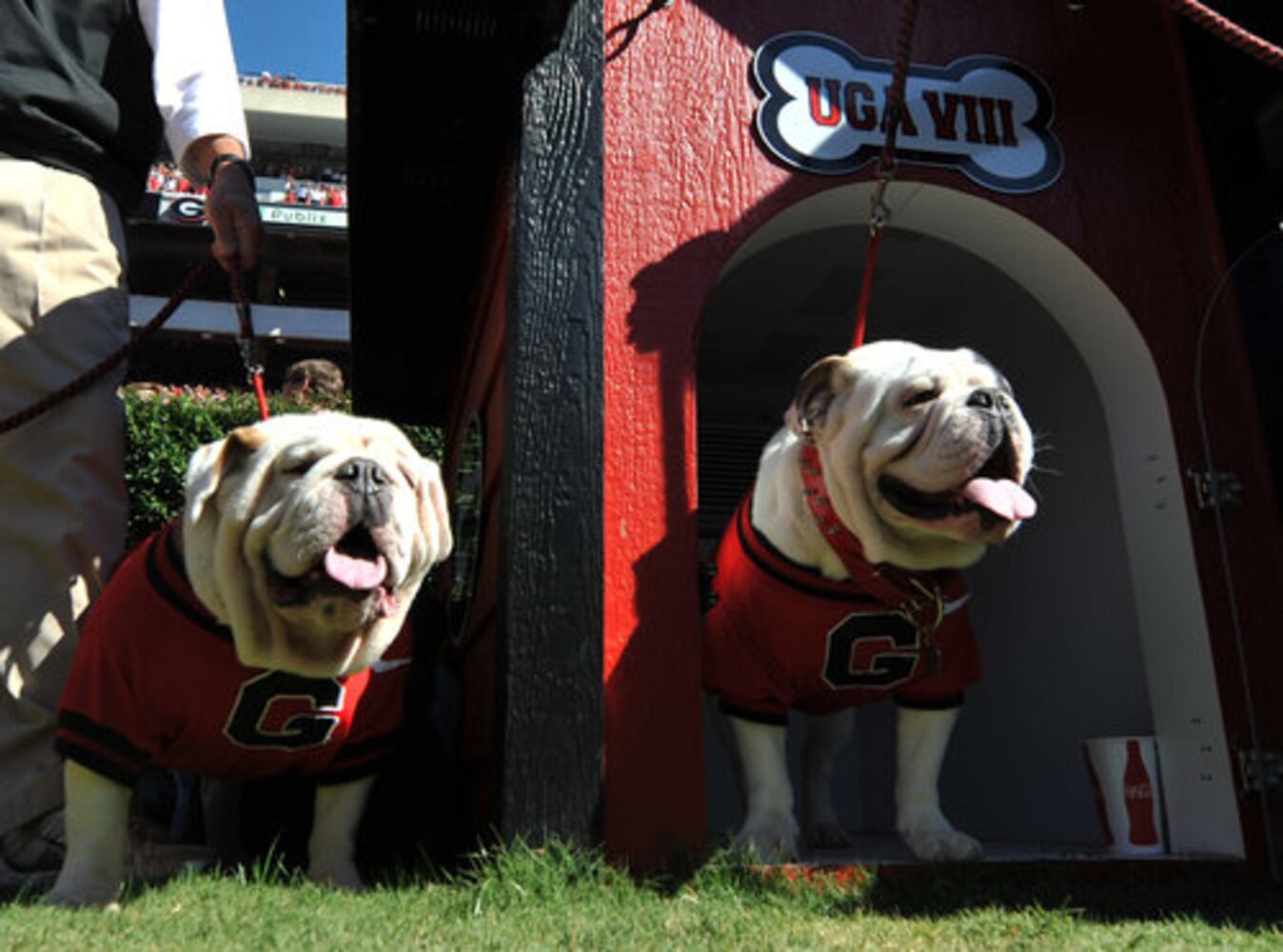 Georgia's gameday traditions