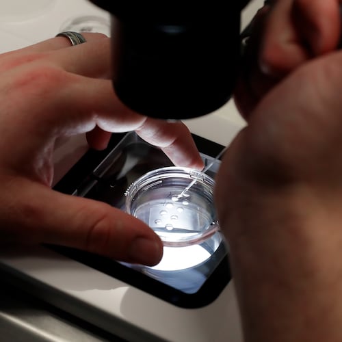 Among the laws the Georgia State Assembly passed that become law July 1 are codifying protections for in vitro fertilization access. (AP Photo/Michael Wyke/AP 2024)