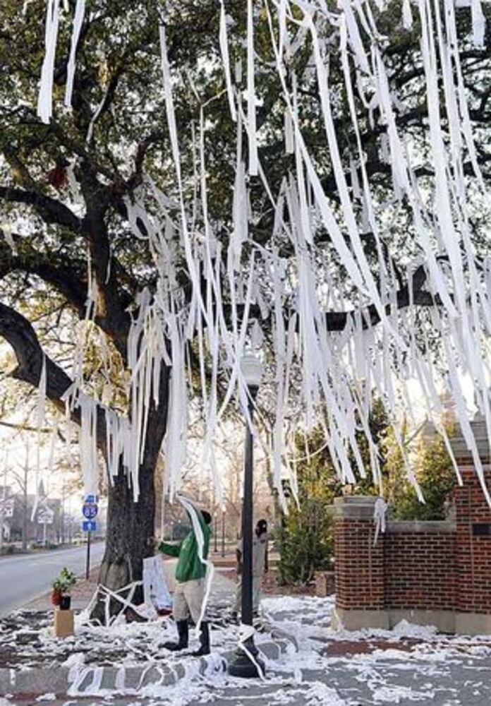Auburn's 130-year-old oak trees poisoned