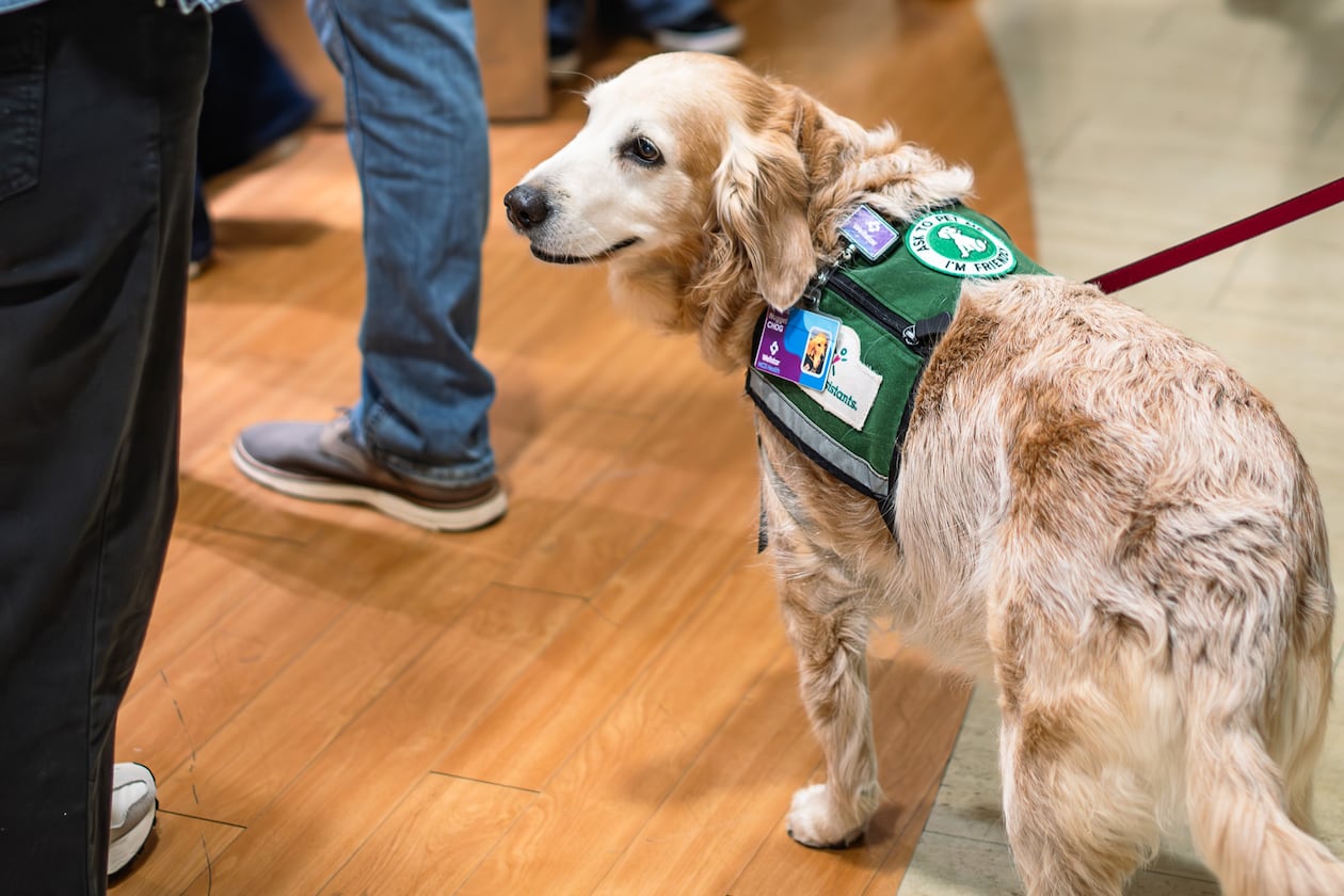 Nugget doing what she does best, greeting! (Courtesy of Wellstar Children's Hospital of Georgia)