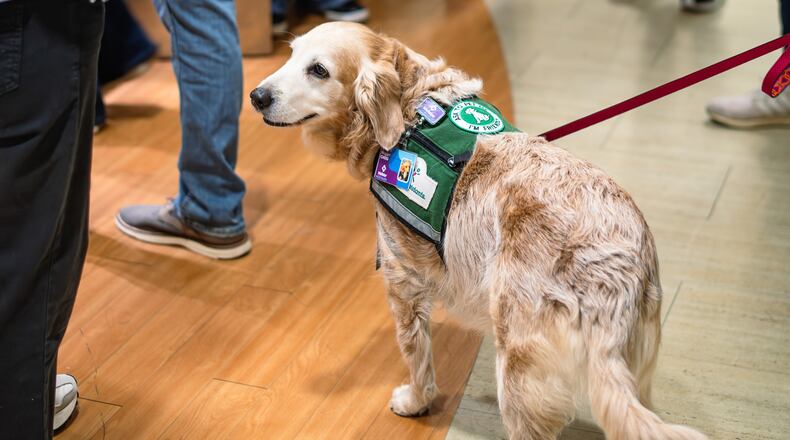 Nugget doing what she does best, greeting! (Courtesy of Wellstar Children's Hospital of Georgia)