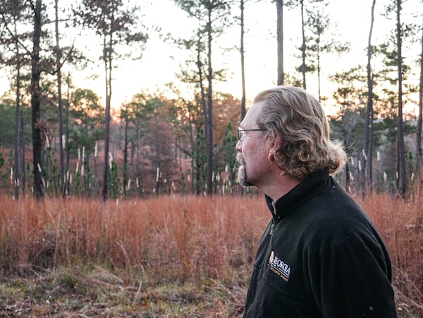 DNR senior wildlife biologist Nathan Klaus watches red-cockaded woodpeckers after the screens covering the opening of their roost cavities were removed at Sprewell Bluff WMA. Credit: Ethan Hatchett/DNR.