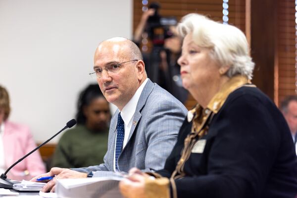 Georgia State Rep. Todd Jones, R-South Forsyth, is concerned about the use of AI technology to deceive voters.
