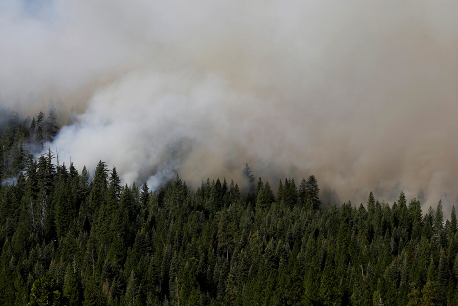 IMAGES: Dramatic 24 hours on Rim Fire line