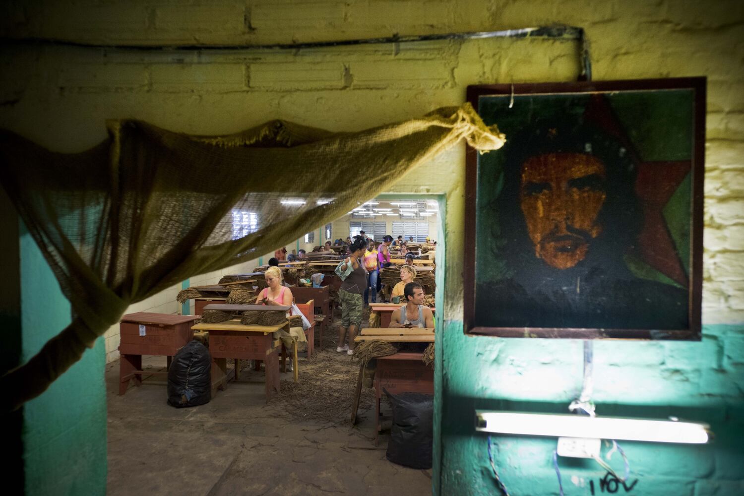Cuba tobacco country becomes tourist attraction