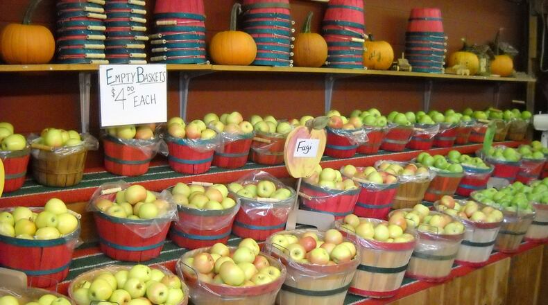 The Red Apple Barn in Ellijay offers you-pick apple-picking tours on Saturdays and Sundays. CONTRIBUTED: RED APPLE BARN