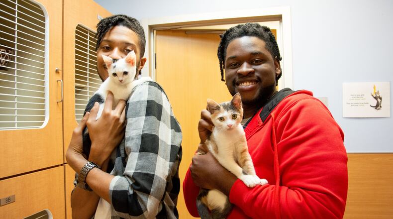 LifeLine thanked the public for adopting more than 470 pets during Black Friday weekend.