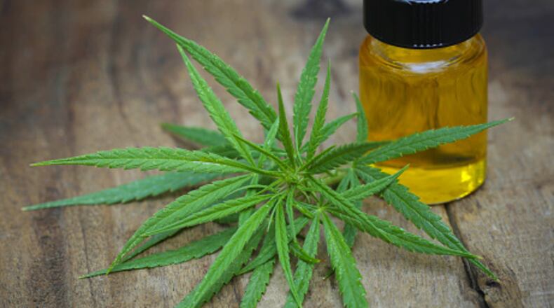 Green leaves of medicinal cannabis with extract oil
