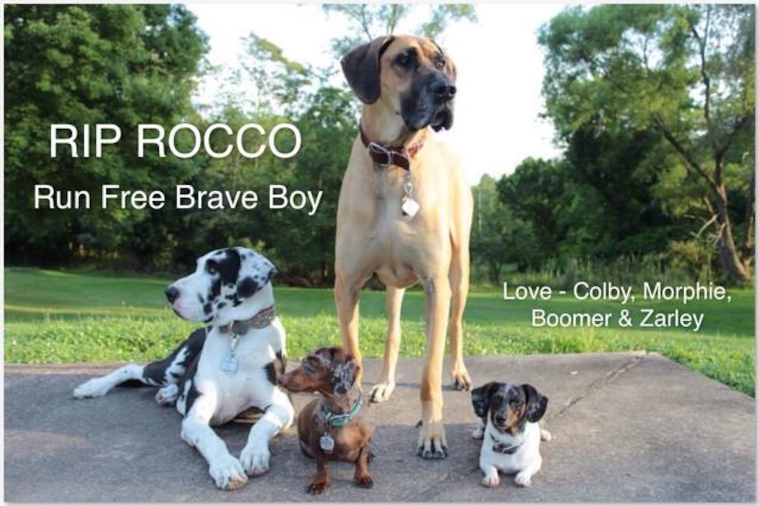 RIP Rocco
