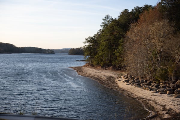 Mmm, delicious algae. 