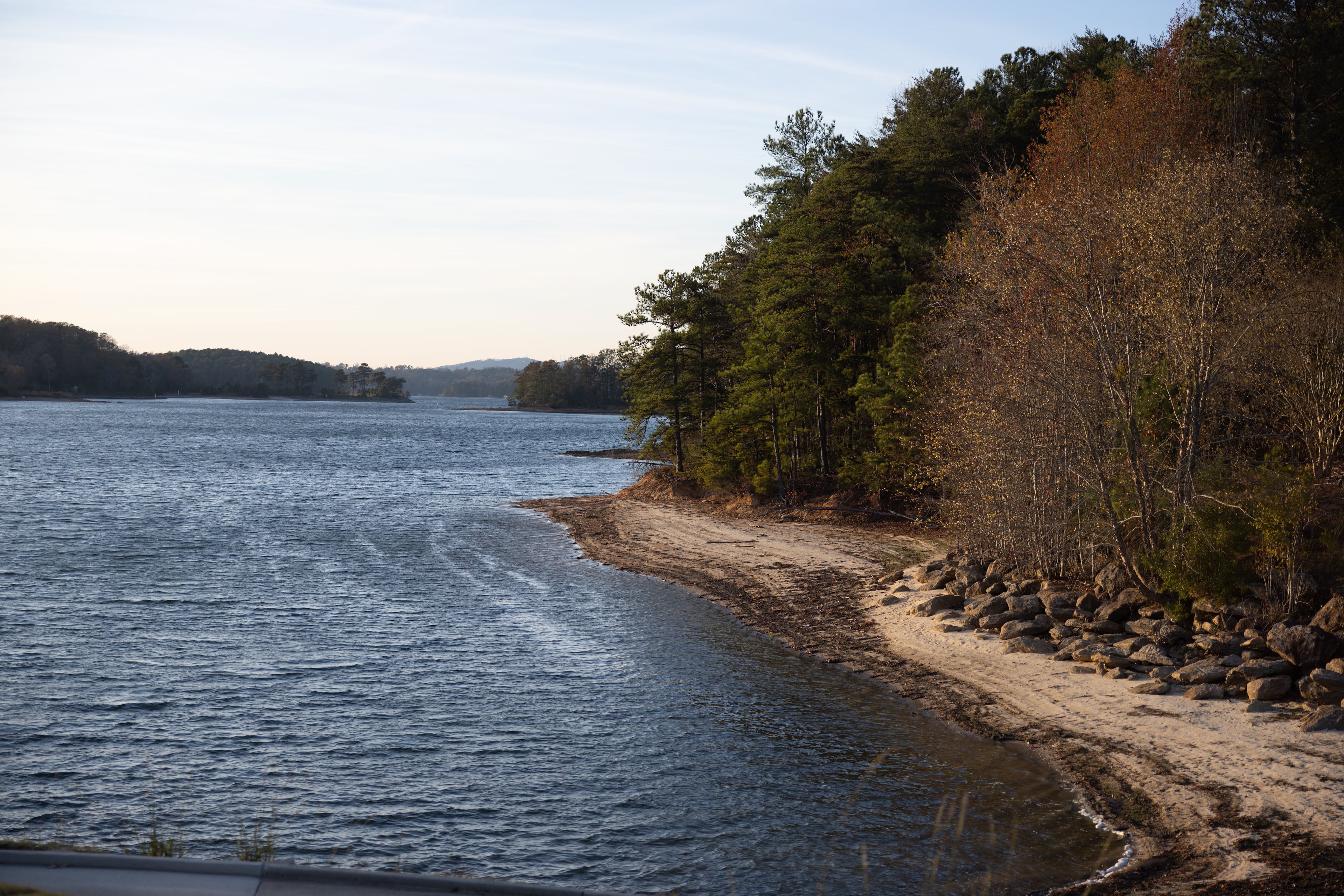 Mmm, delicious algae.