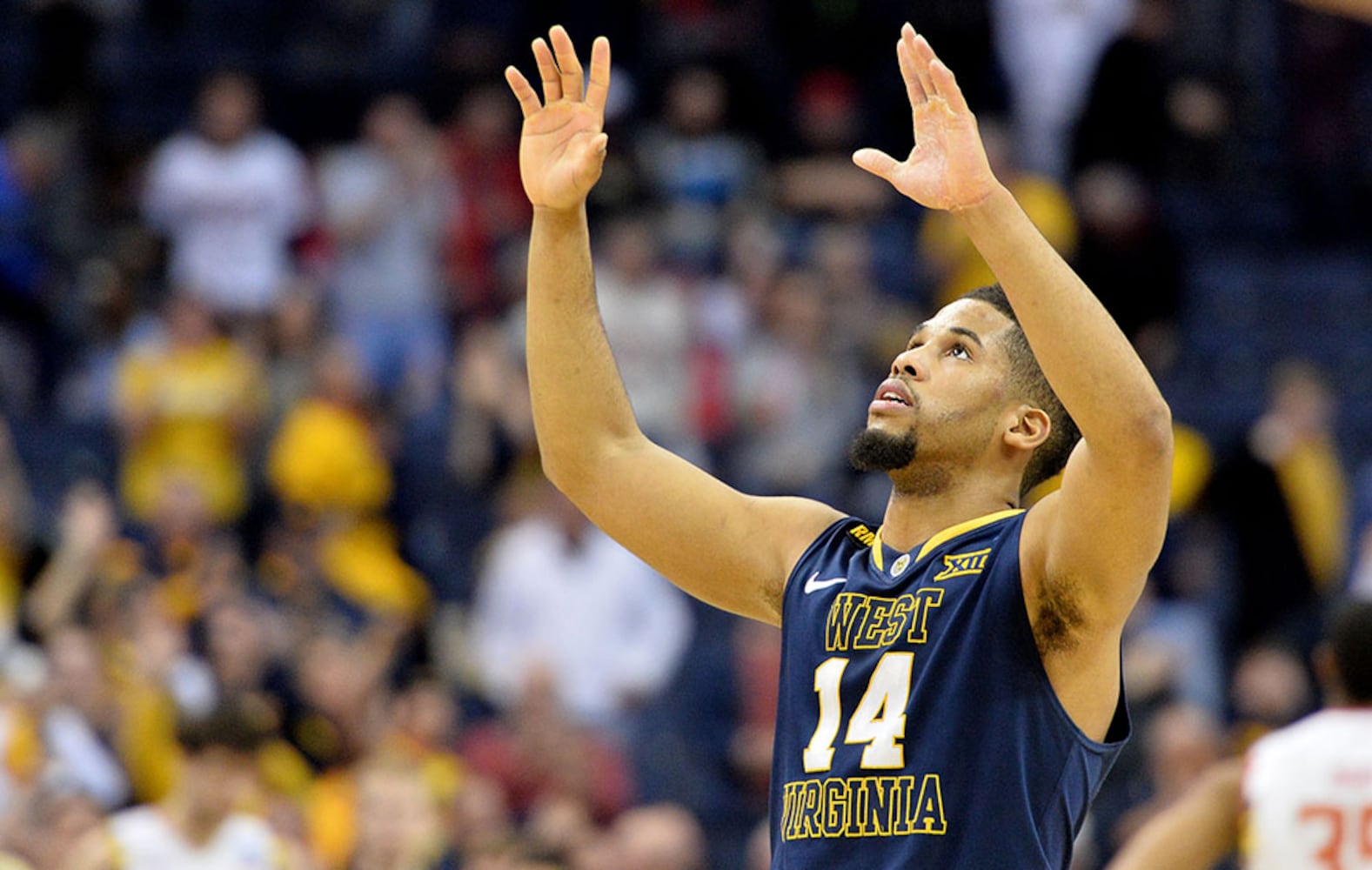 West Virginia Mountaineers