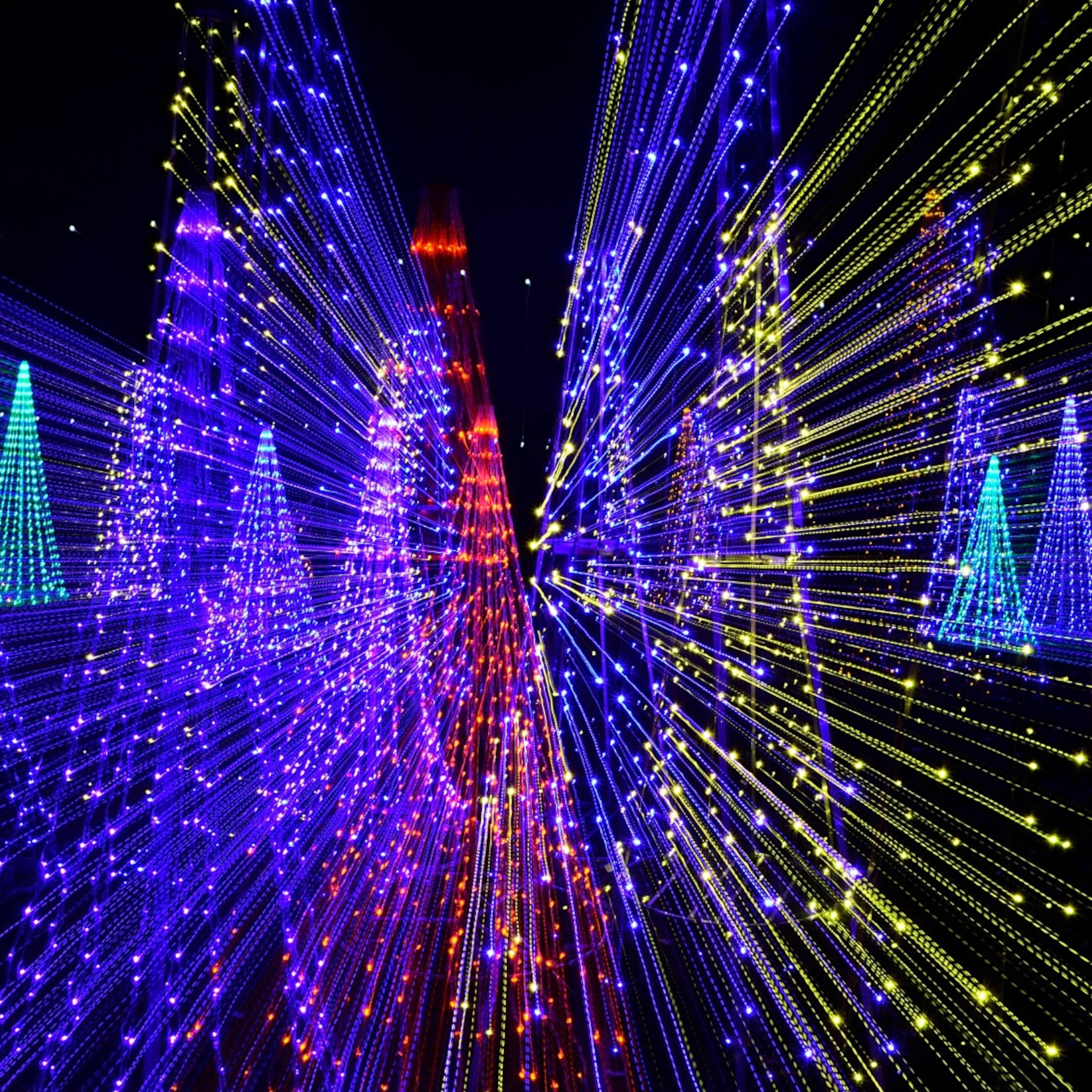 Noel Magic Lights at EchoPark Speedway in Hampton is open until midnight through Jan. 4. (Courtesy of Noel Magic Lights)