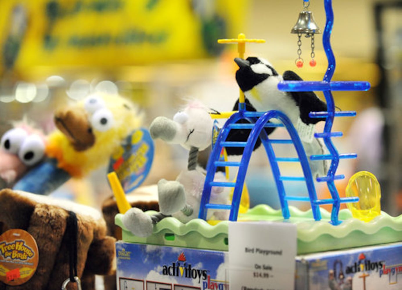 Scenes from the Atlanta Exotic Bird Fair