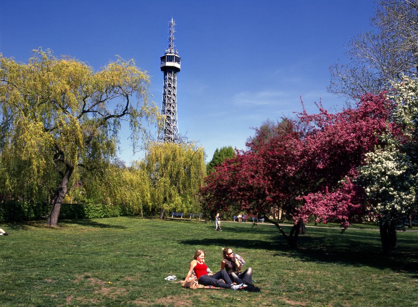 Parks