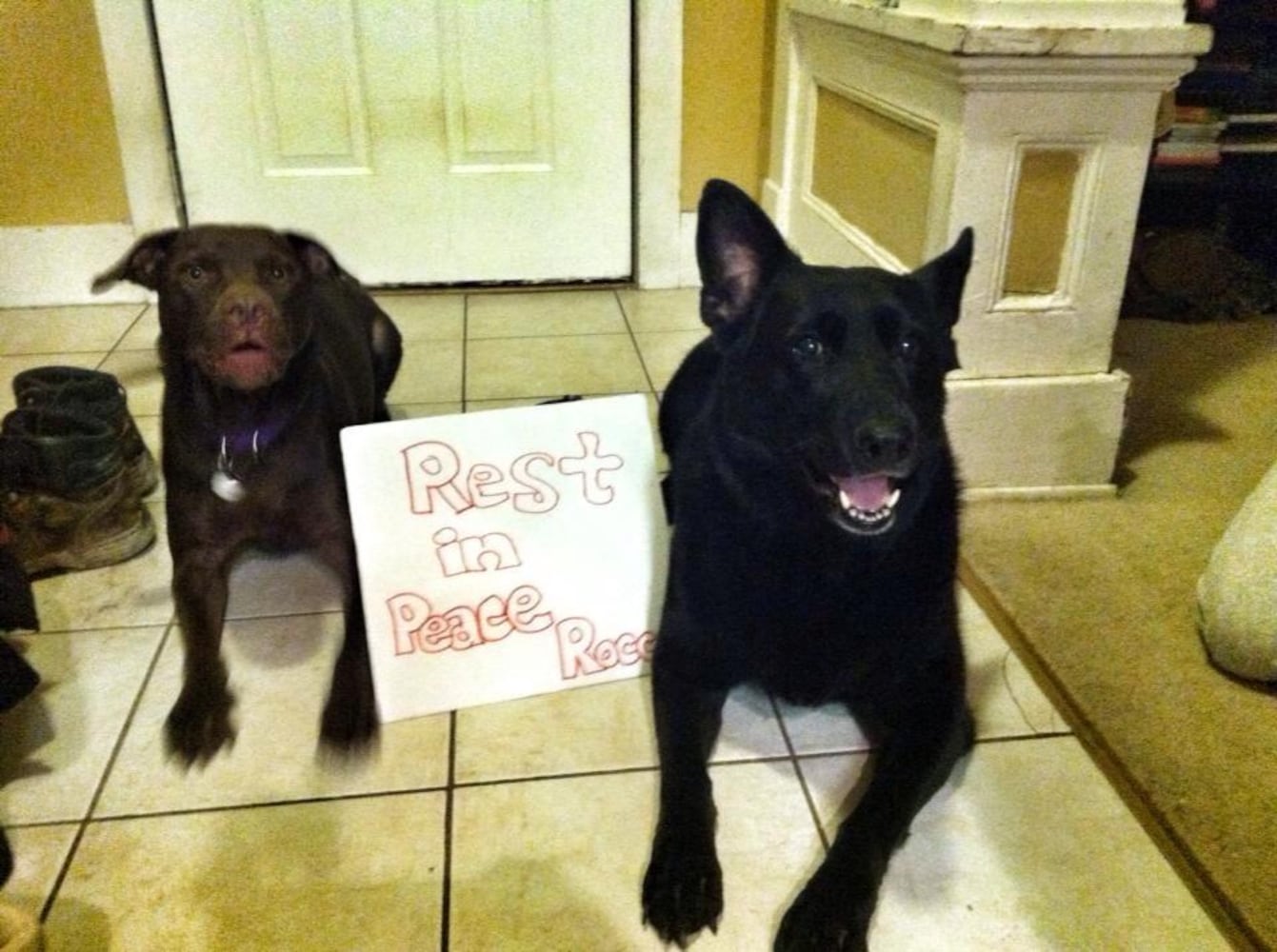 RIP Rocco