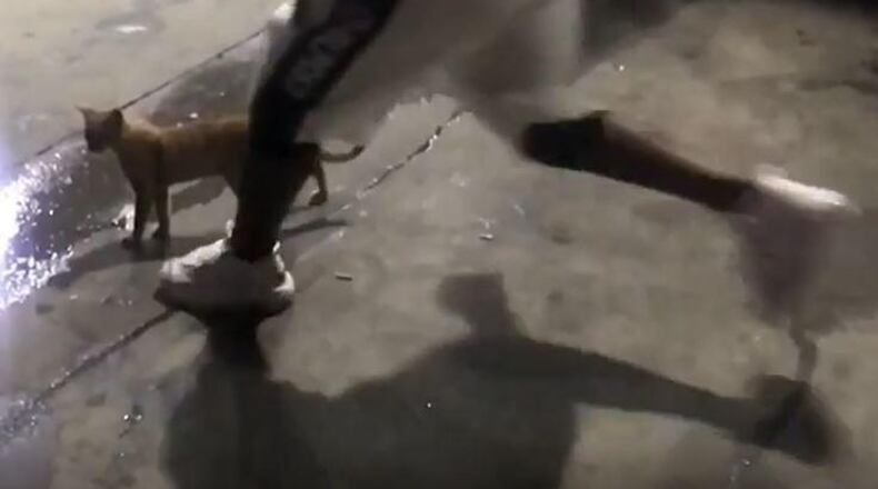 Jamari Davenport was sentenced for kicking a cat in an Instagram video in 2018.