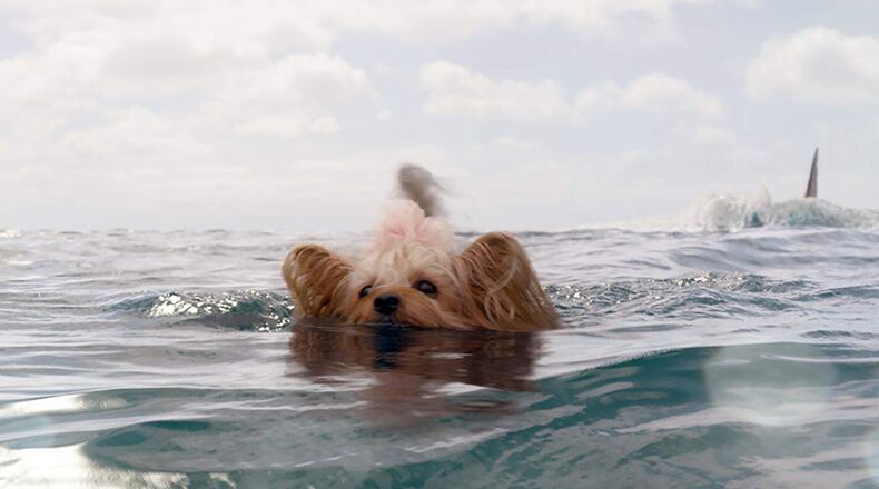 A scene from “The Meg.” Contributed by Warner Bros. Pictures