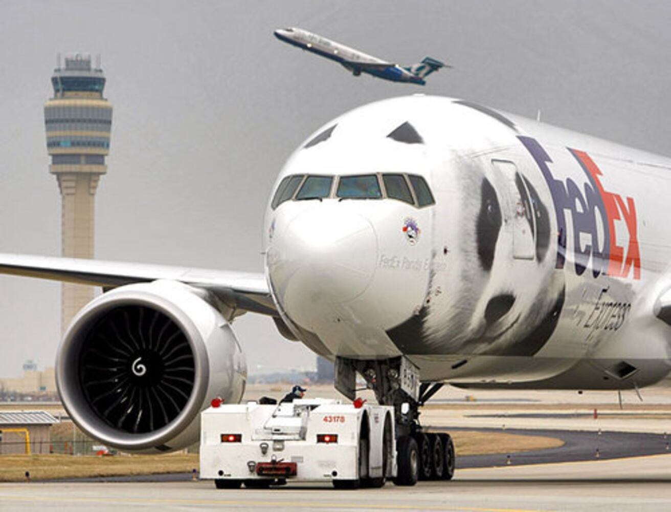 Panda Mei Lan flies out of Atlanta
