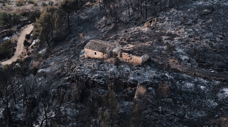 A view of a burnt area affected by wildfires in Bedar, near Almeria, Spain, Saturday, July 11, 2026. (AP Photo/Gregorio Marrero)